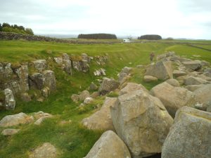 DSCF6558