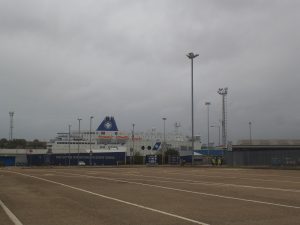 DSCF6567