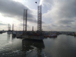 DSCF6595