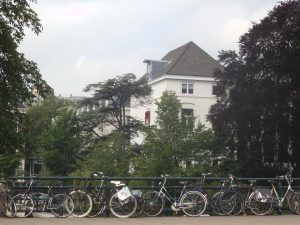 DSCF6629
