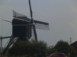 DSCF6635