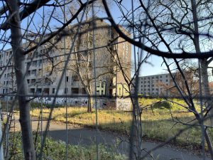 img-3657
