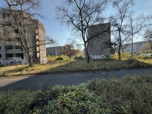img-3662